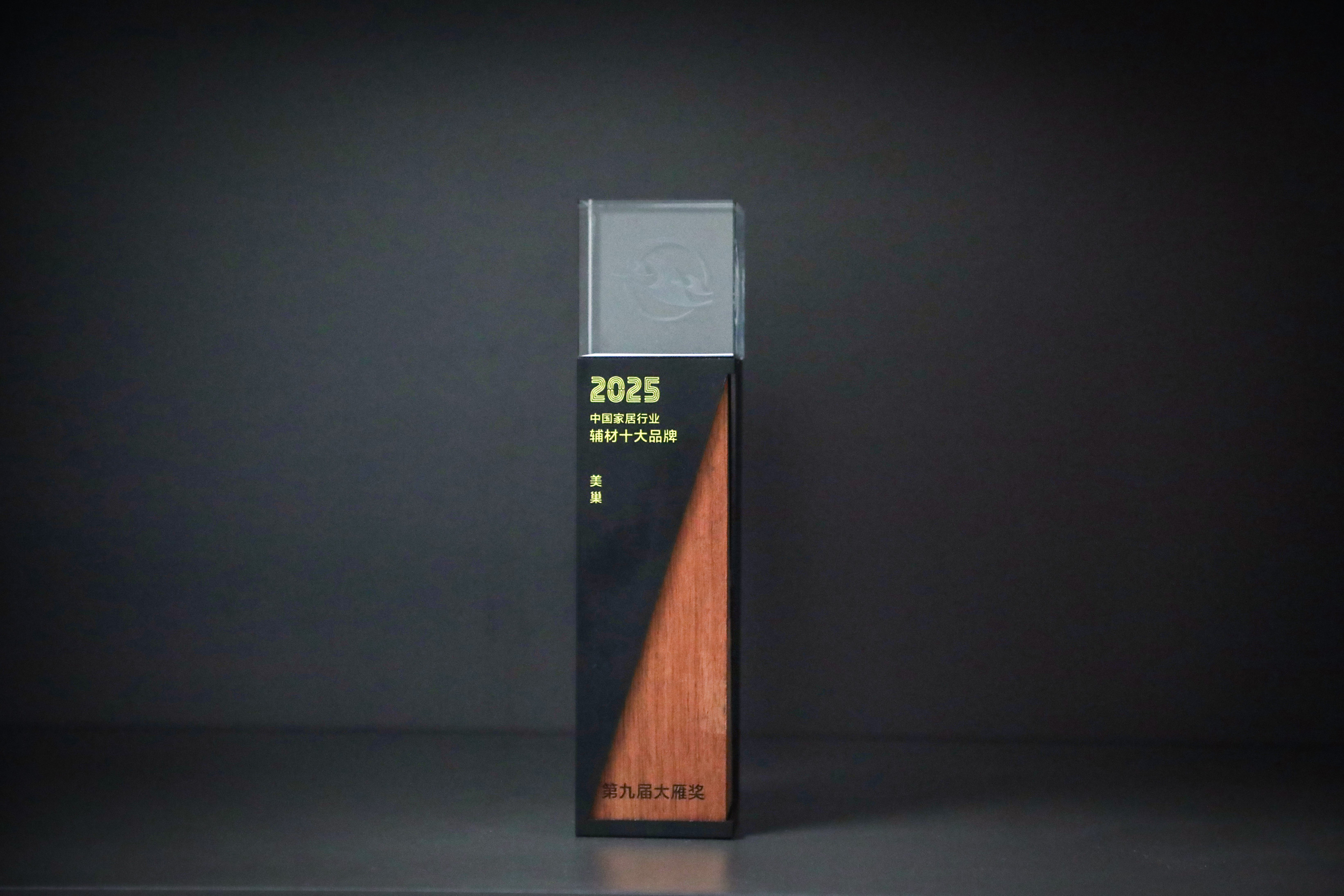 美巢跻身第九届大雁奖——“中国家居行业辅材十大品牌”